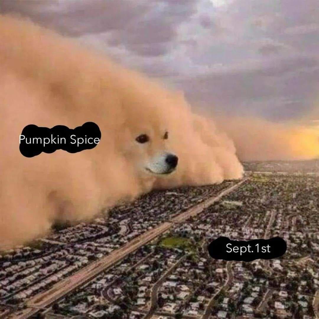 1693349833815.png
