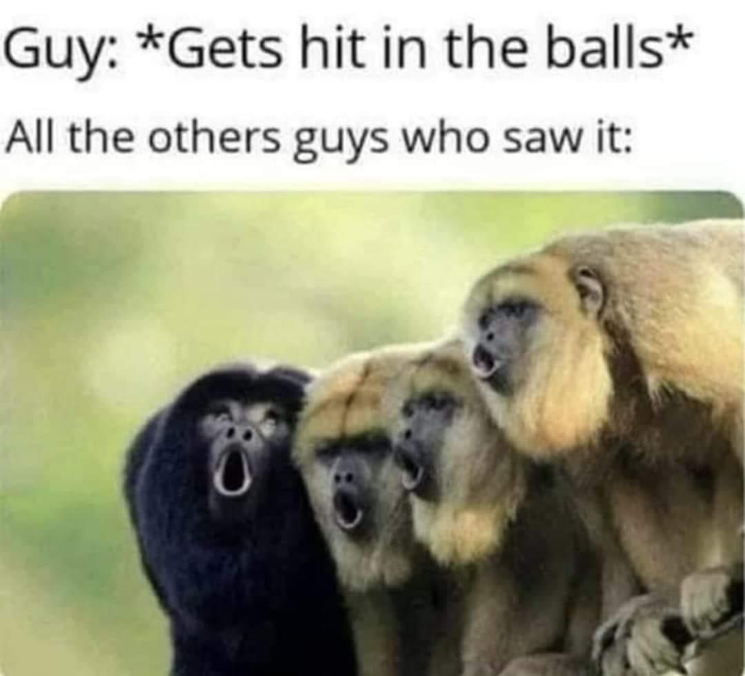 1693351662329.png