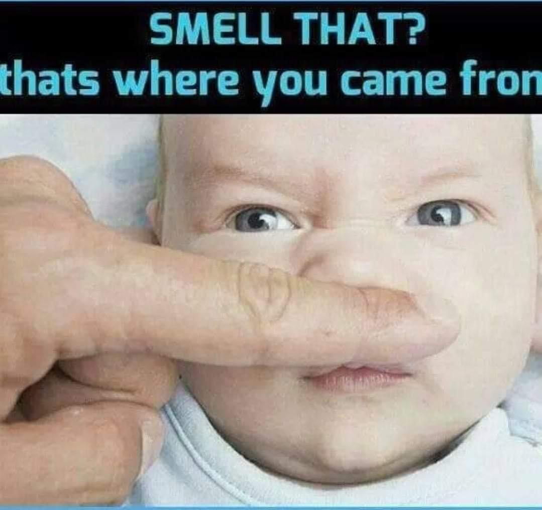 1693351711976.png