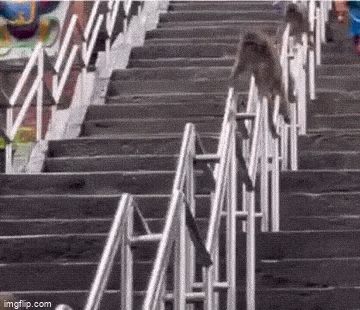1693383791_16.gif