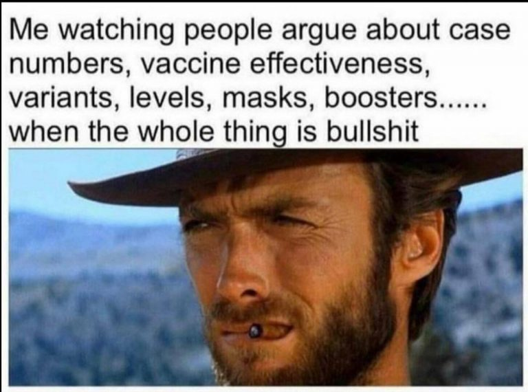 1693614350283.png
