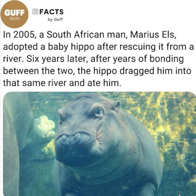 1693680018966.png