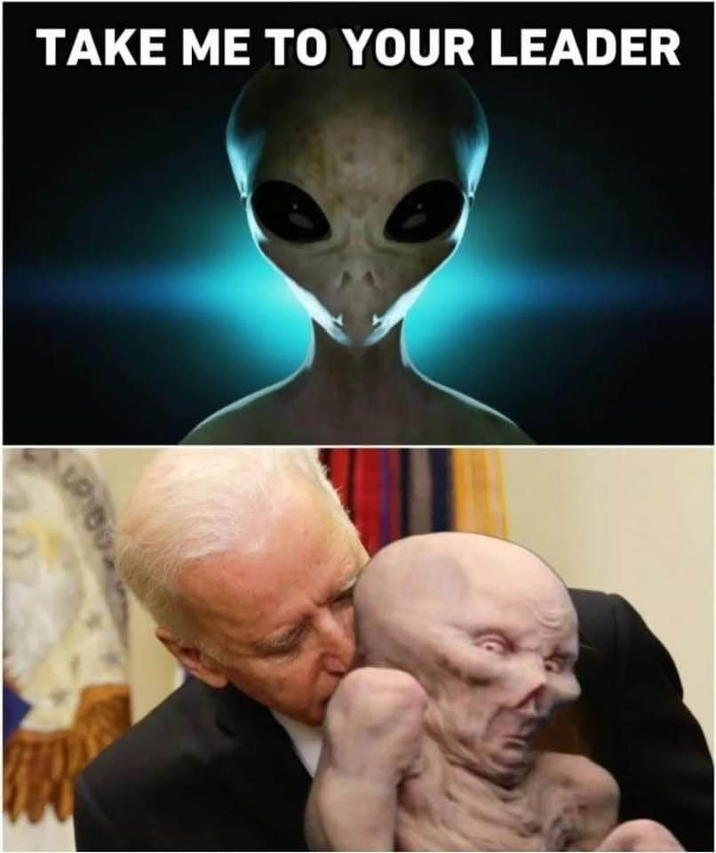 1693782819931.png