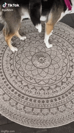 1693822440_24.gif