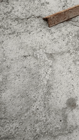 1693923544_10.gif