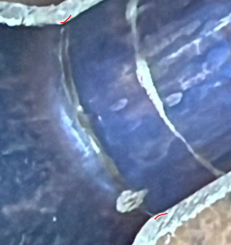 1694009147741.png