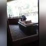 Florida 3-legged bear invades screened-in patio of home, raids refrigerator, drinks White Claw hard seltzers from www.foxnews.com