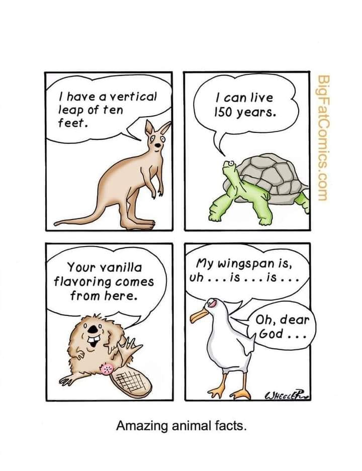 1694184007870.png