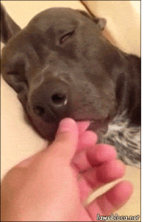 1694312362951.gif