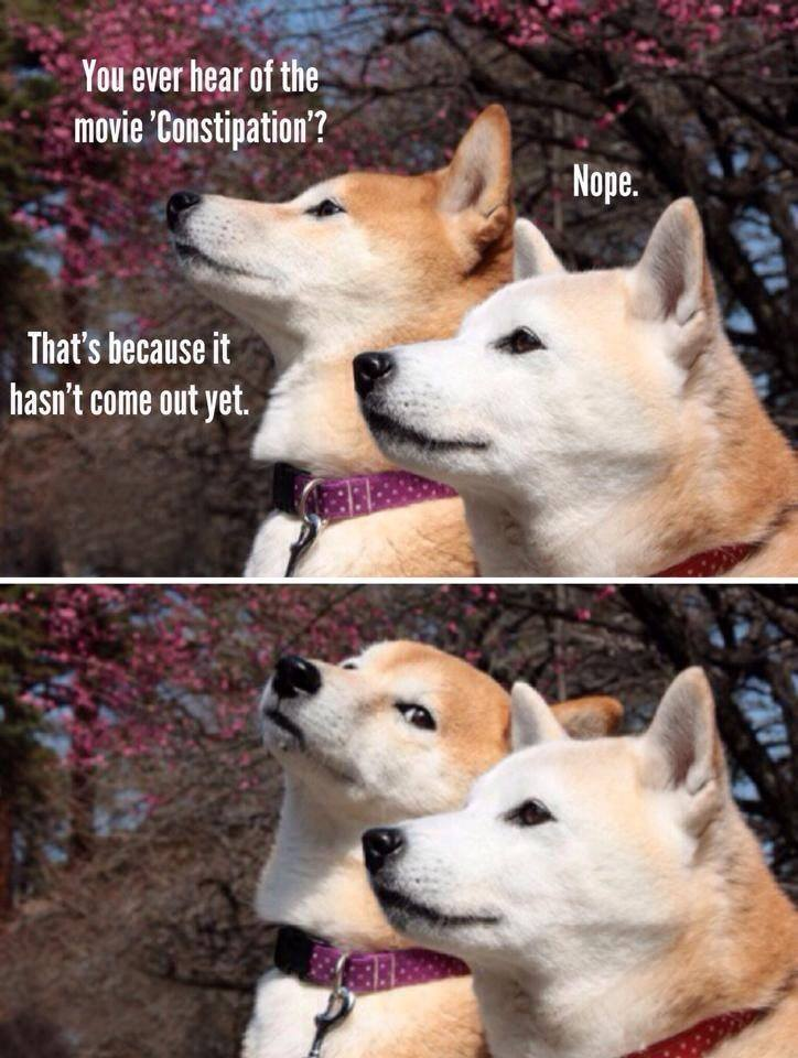 1694577197034.png