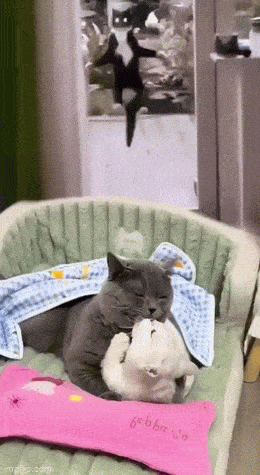 1694607821_14.gif