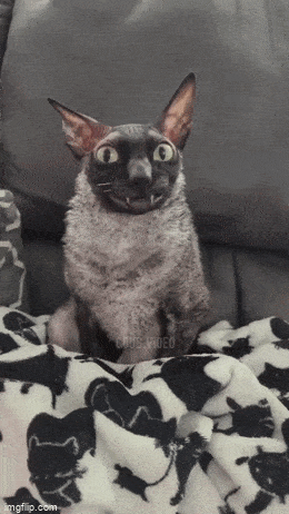 1694607890_22.gif