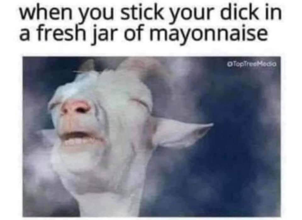 1694820428827.png