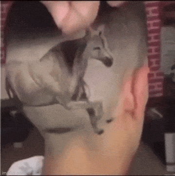 1695216752_24.gif
