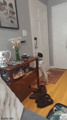 1695216755_18.gif
