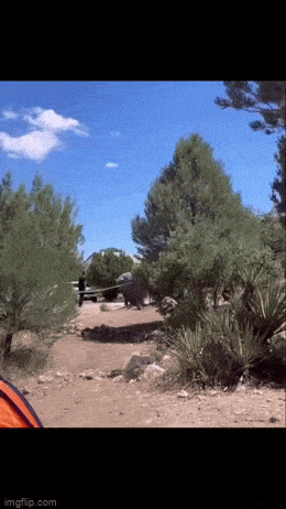 1695301611_17.gif