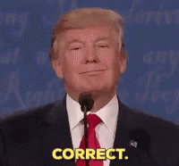 1695404498280.gif