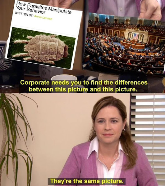 1695600308312.png