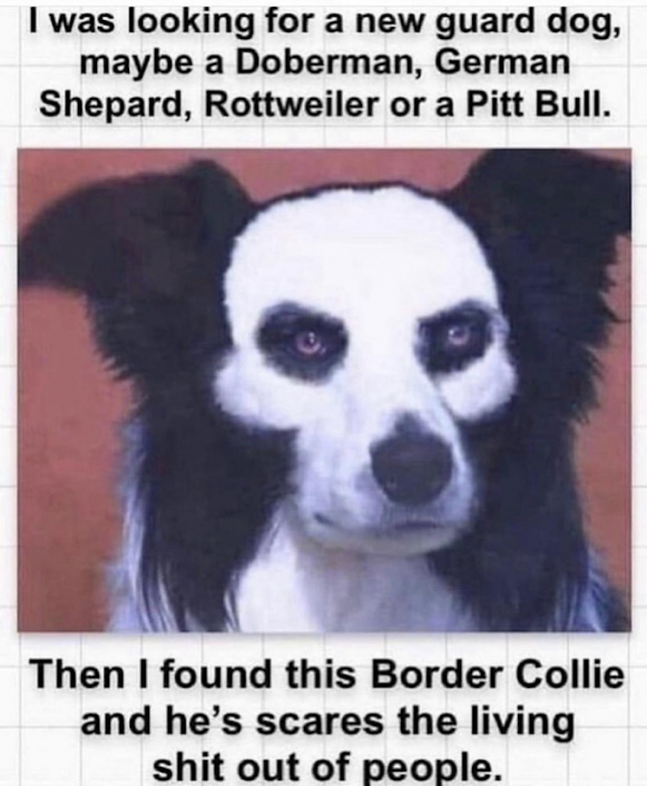 1695603162892.png
