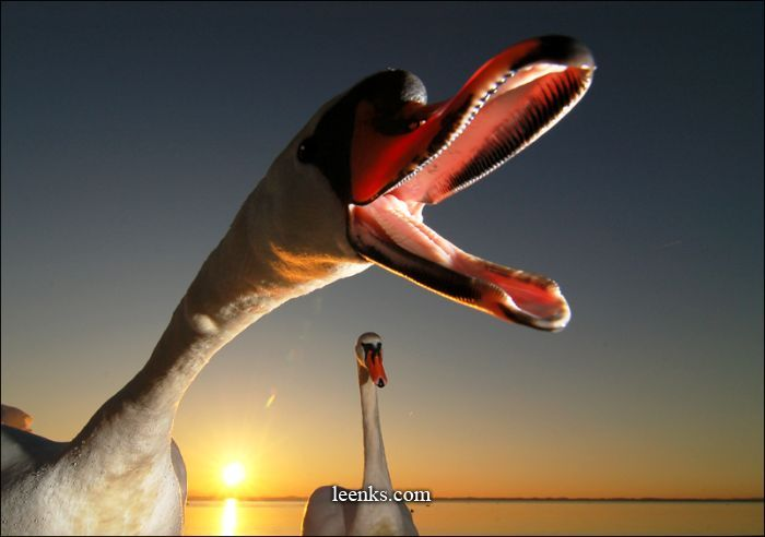 1695898975678.png