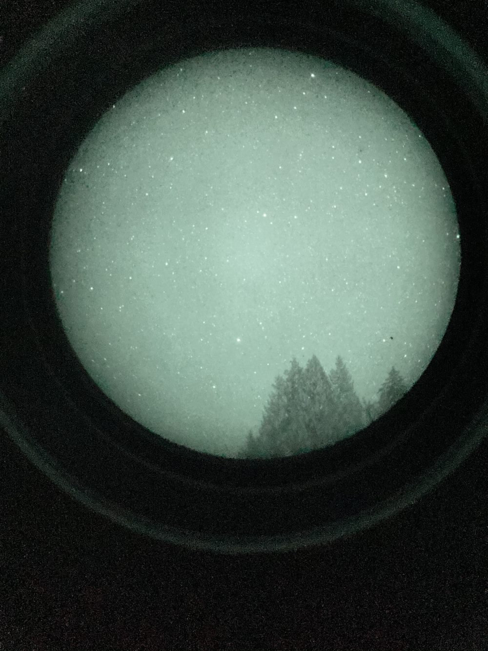 1696011951728.png