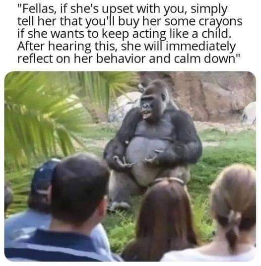 1696264322093.png