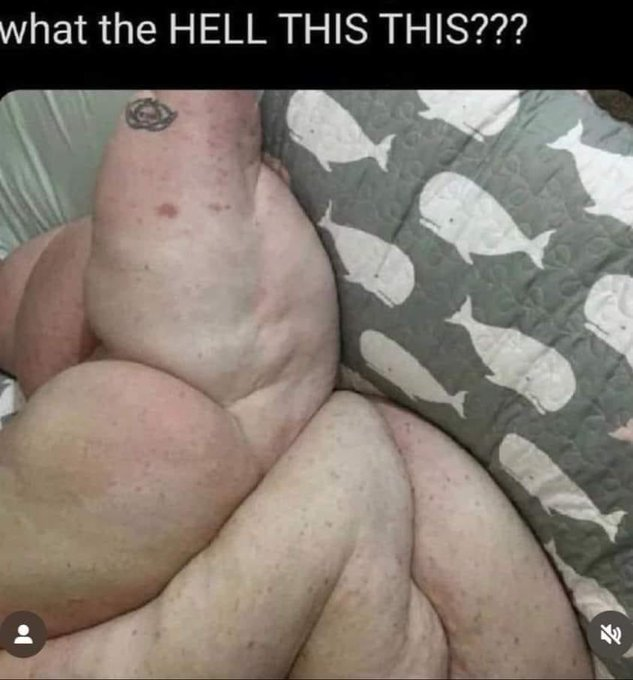 1696864014714.png