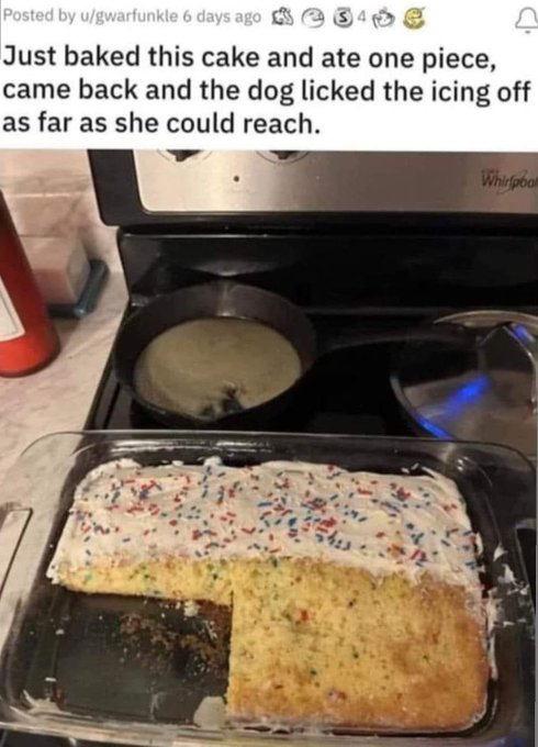 1696864134496.png