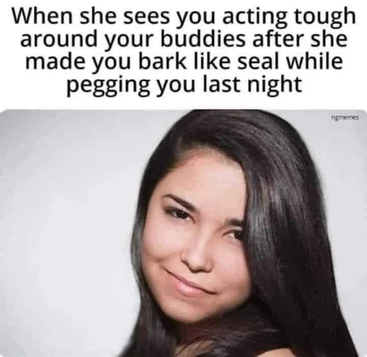 1697226337615.png