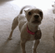1697230707376.gif