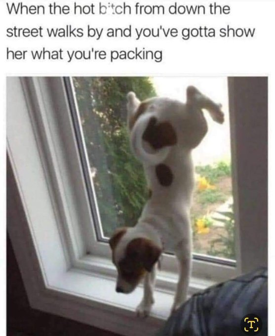 1697304003912.png