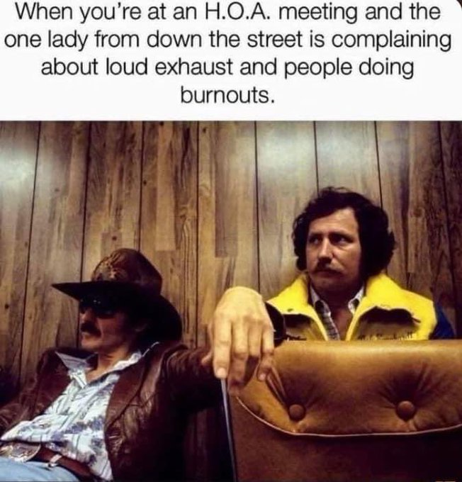 1697329335759.png
