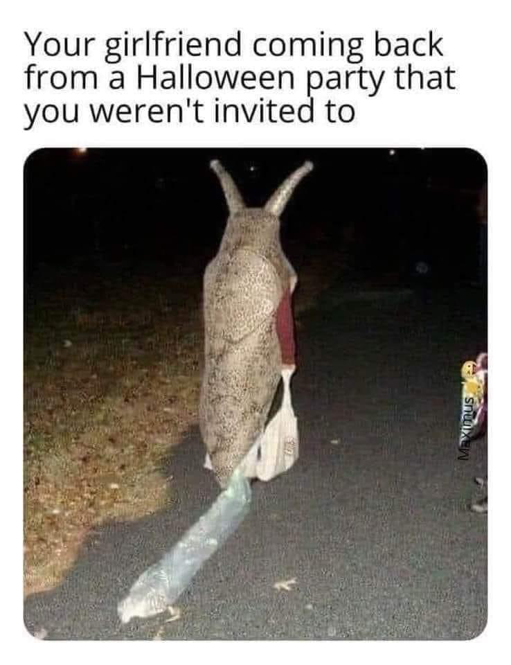 1697408615667.png