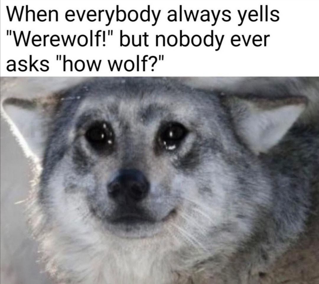 1697411233683.png