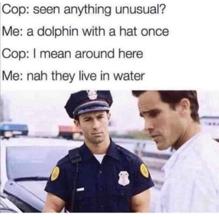 1697431991844.png
