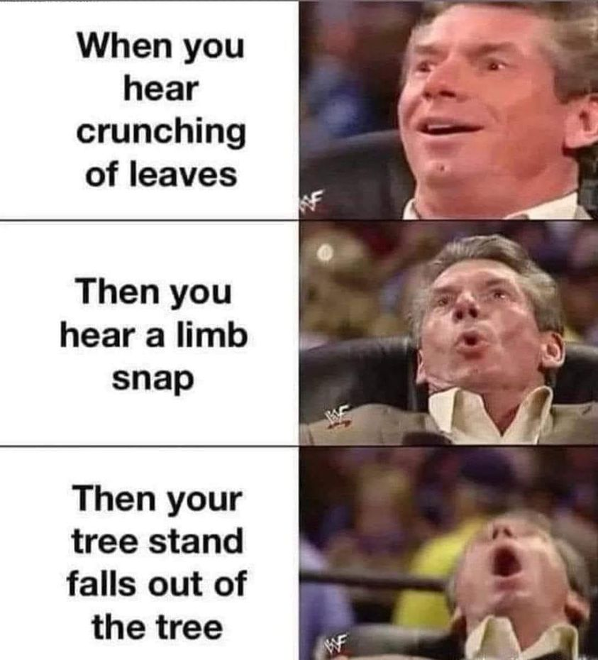 1697901563095.png