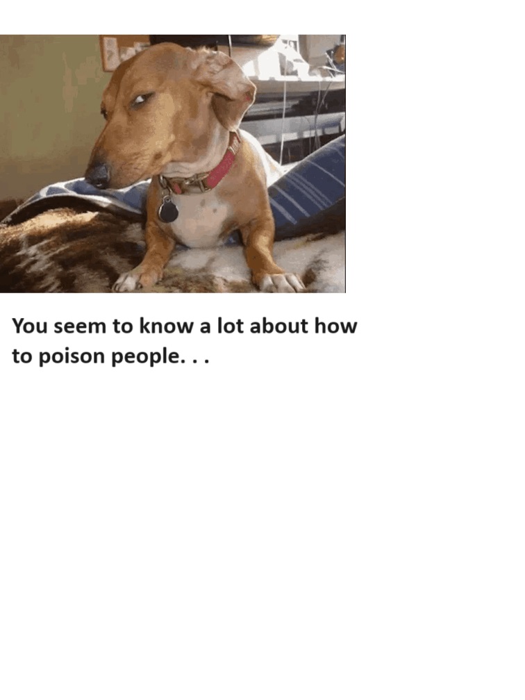 1698083484908.jpeg