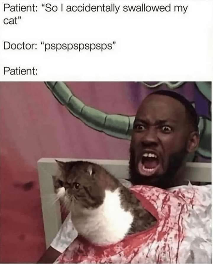 1698148144354.png
