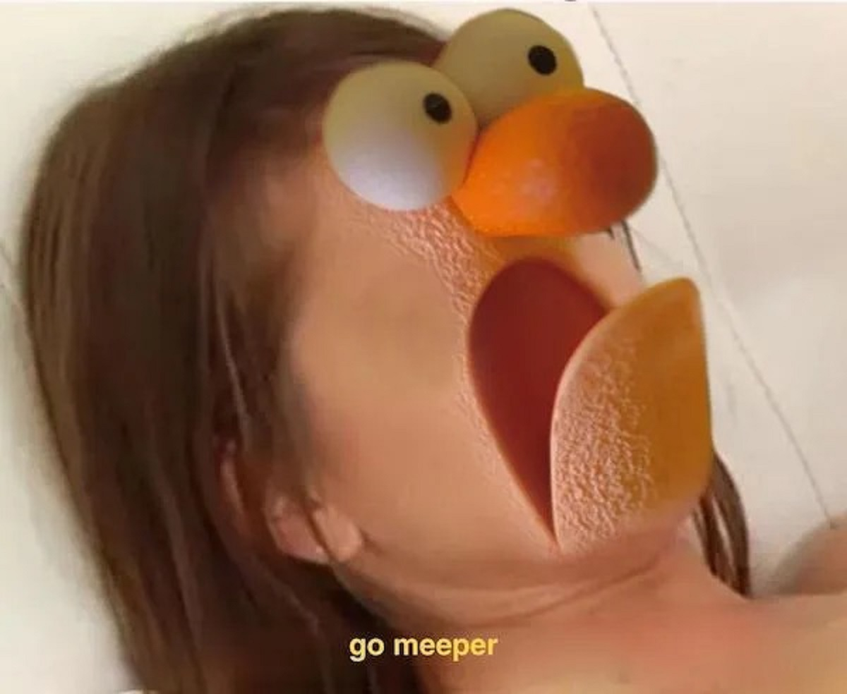 1698513206027.png