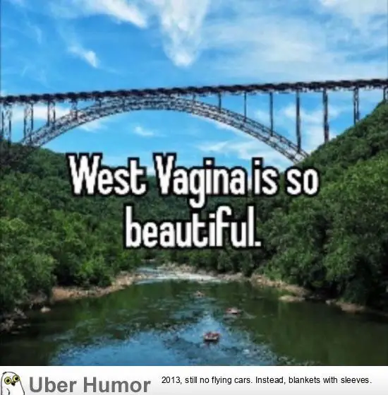 1698576268165.png