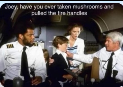 1698710650337.jpeg