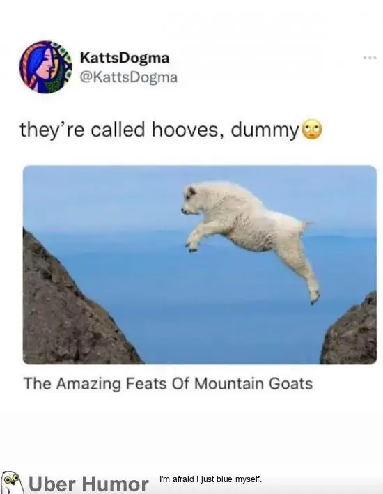 1698733825126.png
