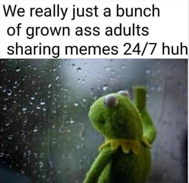 1698738043944.png
