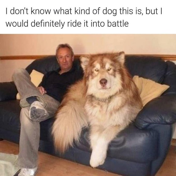 1698862779155.png