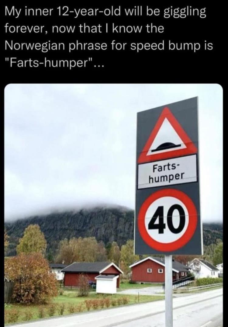 1698909304381.png