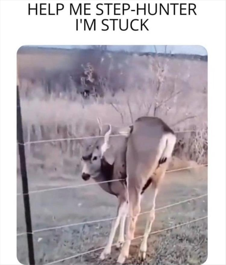 1698909491607.png