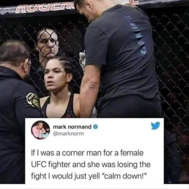 1698911771377.png
