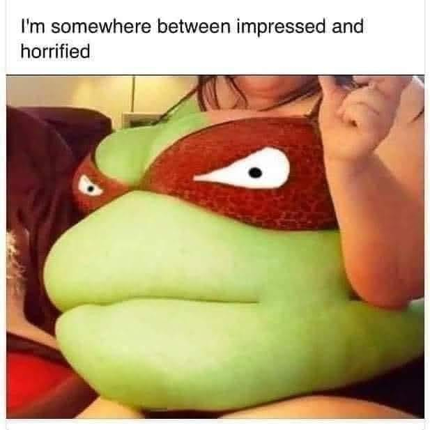 1698936554379.png