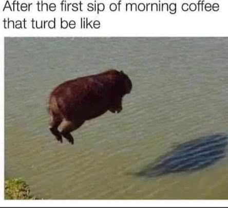 1699060643931.png