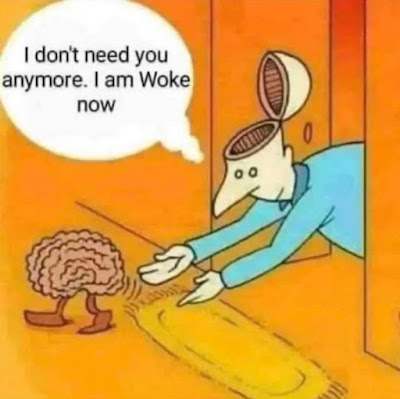 1699062820577.png